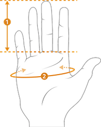 Size measurement guide