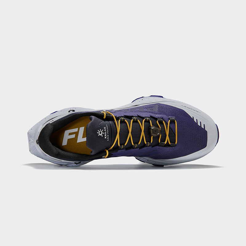 Color_Purple/Gray